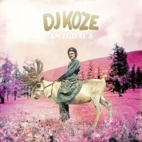 Dj Koze - Amygdala