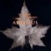 Adiemus - The Journey - The Best Of Adie i gruppen CD / Klassiskt hos Bengans Skivbutik AB (1846551)