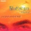 Bluezeum - Put Your Mind On Hold i gruppen CD / Jazz/Blues hos Bengans Skivbutik AB (1902224)