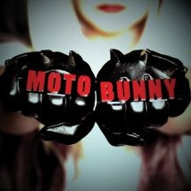 Motobunny - Motobunny i gruppen VINYL / Rock hos Bengans Skivbutik AB (2443775)