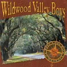 Wildwood Valley Boys - When I Go Back To Georgia