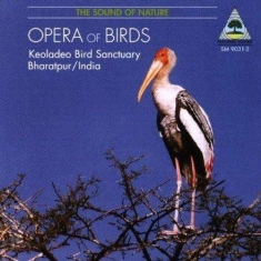 Recordings From The Keoladeo Bird S - Opera Of Birds