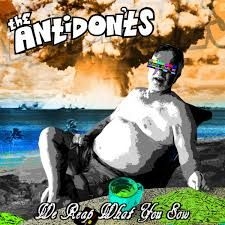 Antidon'ts - We Reap What You Sew i gruppen Rock hos Bengans Skivbutik AB (3512217)