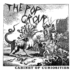 Pop Group - Cabinet Of Curiosities