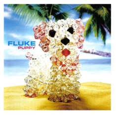 Fluke - Puppy