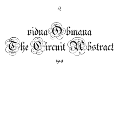 Vidna Obmana - Circuit Abstract