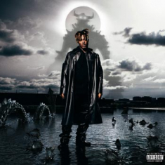 Juice Wrld - Fighting demons Gatefold (2 Vinyl LP)