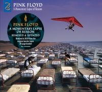 PINK FLOYD - A MOMENTARY LAPSE OF REASON