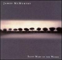 Mcmurtry James - Saint Mary Of The Woods i gruppen CD / Rock hos Bengans Skivbutik AB (506751)