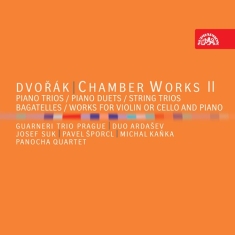 Dvorák Antonín - Chamber Works Ii (7 Cd)