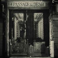 Johnny Blue Skies - Passage Du Desir (Metallic Gold Lp)