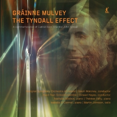 Grainne Mulvey - The Tyndall Effect