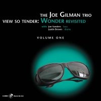 Joe Gilman - View So Tender: Wonder Revisited Vo