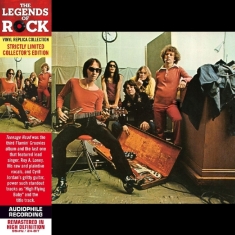 Flamin Groovies - Teenage Head