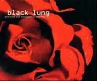 Black Lung - Profound And Sentimental i gruppen CD / Pop-Rock hos Bengans Skivbutik AB (605413)