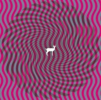 Deerhunter - Cryptograms