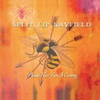 Split Lip Rayfield - Should Have Seen It Coming