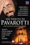 Blandade Artister - Pavarotti Memorial Concert i gruppen ÖVRIGT / Musik-DVD & Bluray hos Bengans Skivbutik AB (888855)