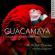 Mr Mcfall's Chamber Macdougall J - Guacamaya: Chamber Music And Songs Mr Mcfall's Chamber Macdougall J - Guacamaya: Chamber Music And Songs
